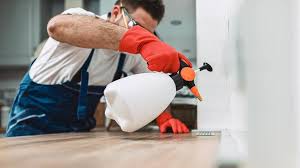 Reliable Peoria, AZ Pest control Solutions